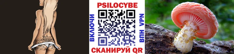 магазин  наркотиков  Пыть-Ях  Псилоцибиновые грибы Psilocybe 